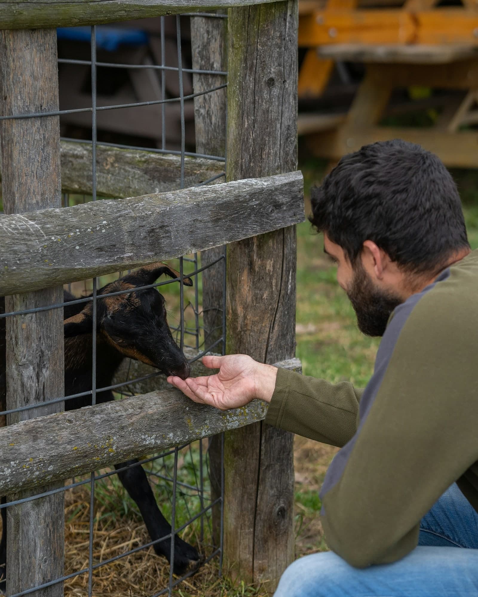 Hand-feeding an animal at a community farm, the kind of volunteering participants build towards